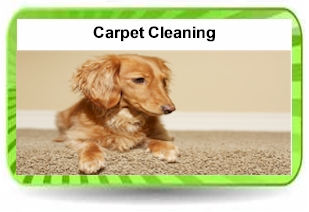 Clearwater Carpet Cleaners